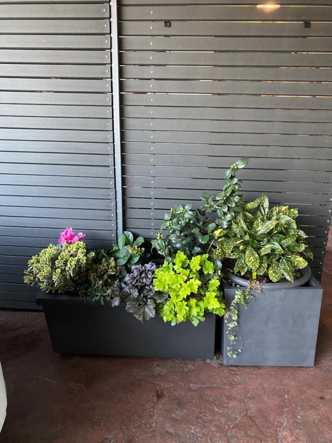 Beauty Appartement Portorož