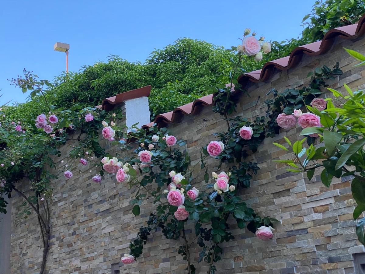 Beauty Apartmán