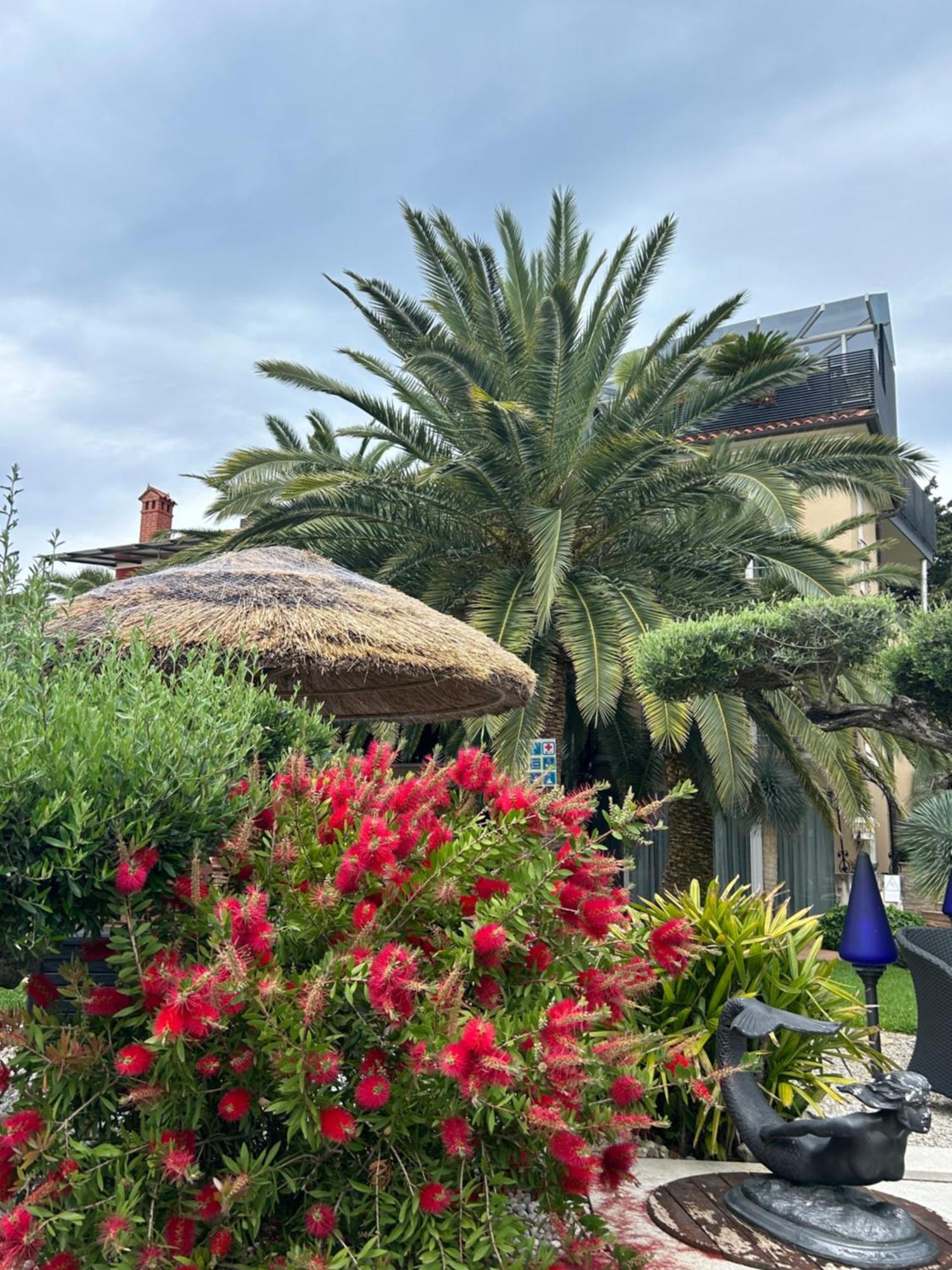 Beauty * Portoroz