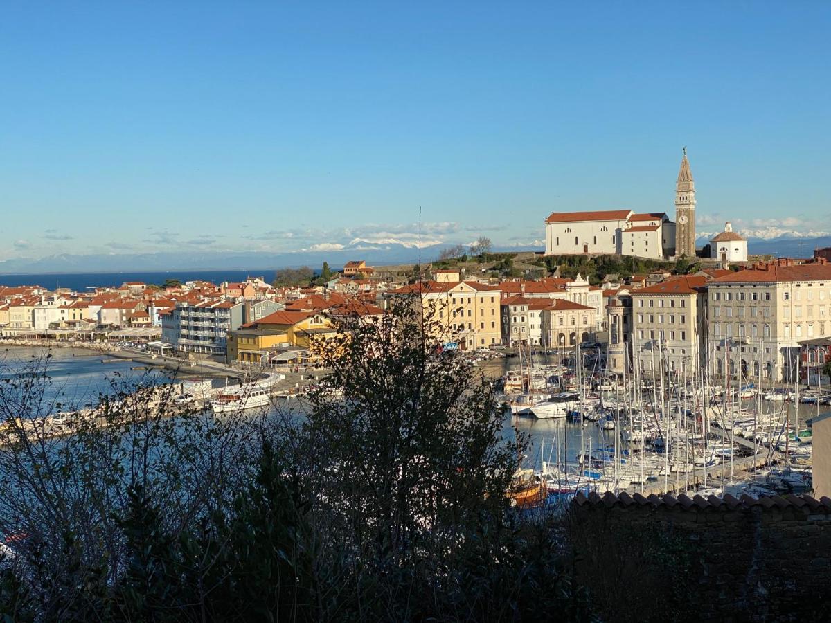 Beauty Portoroz